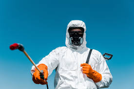 Professional Pest Control in East Niles, CA